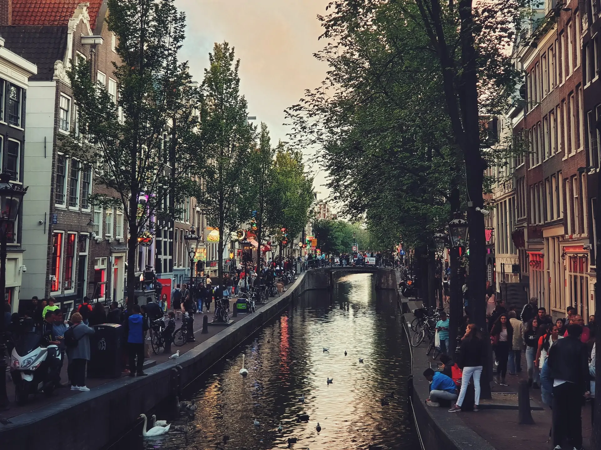 Here is Why You Should Visit the Red Light District At Least Once | Clio  Muse Tours