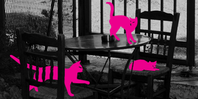 Athens Plaka self-guided Virtual Experience: Cats on the prowl