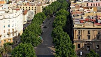 Barcelona city tour and Park Güell combo audio tour