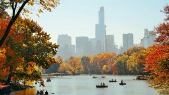 new york people boating central park