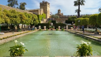 Cordoba