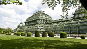 Berlin Botanical Garden: E-Ticket with Audio Tour on Your Phone